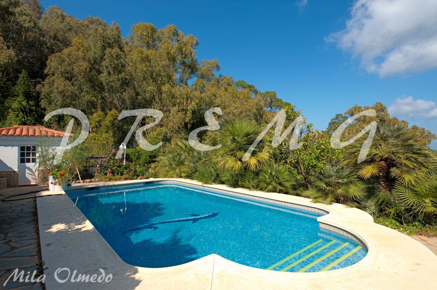 Piscina de Casa o chalet en venta en Algeciras con Piscina