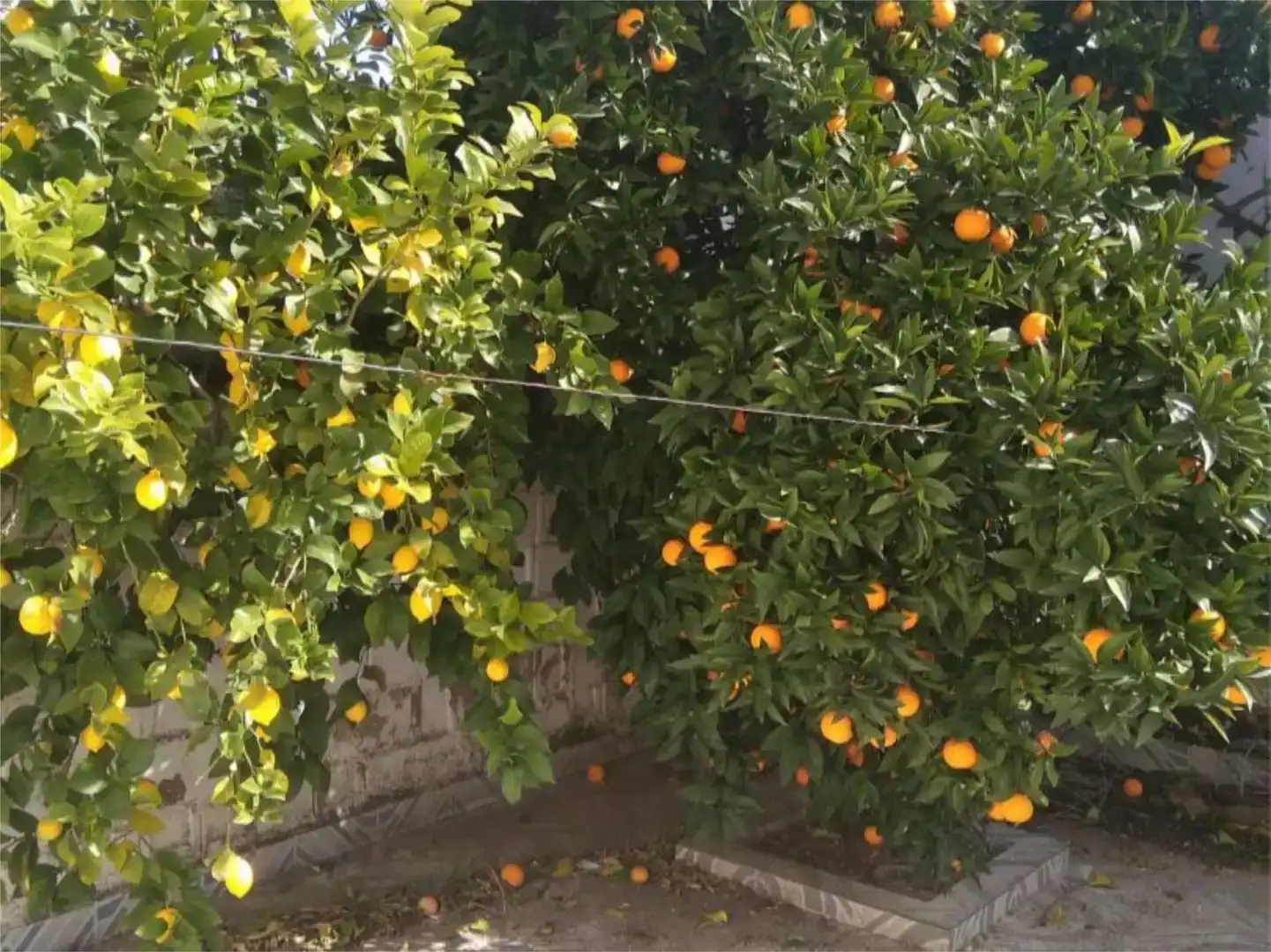 Jardín de Piso en venta en Valle de la Serena con Aire acondicionado, Jardín privado y Trastero