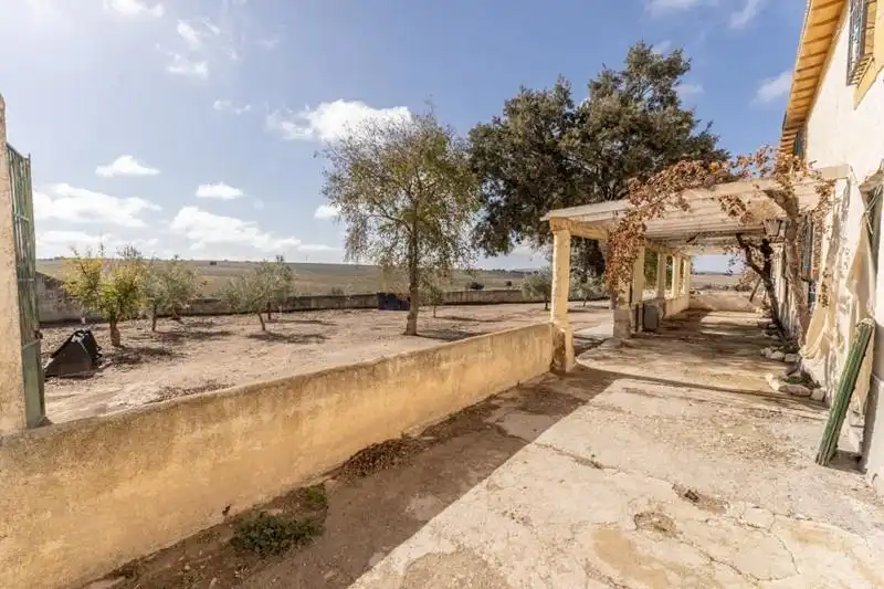 Land for sale in Alamedilla