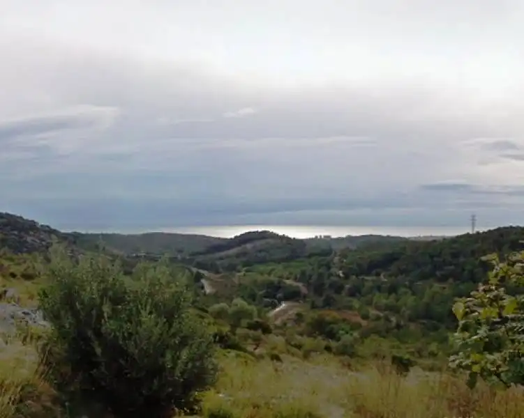 Terreni e lotti in vendita a Nonaspe