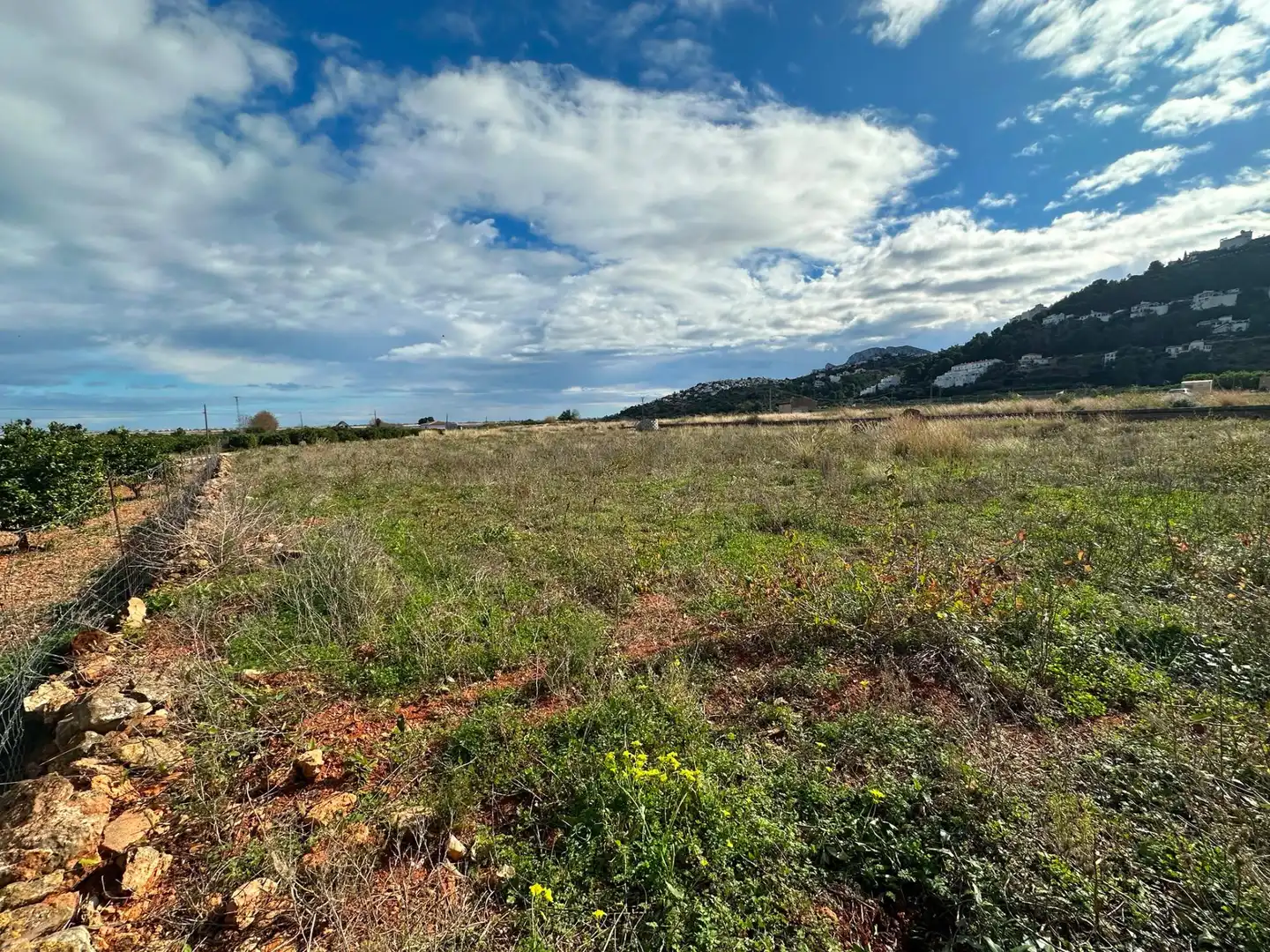 Rural land for sale in Pego, imagen 2