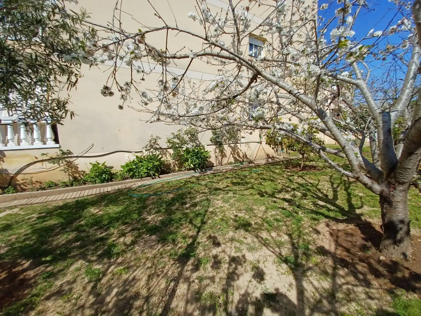 Ground floor for sale in Cunidor