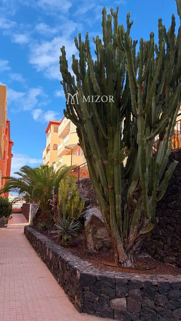 Apartamento con piscina en venta en las Galgas, imagen 5