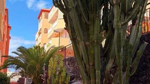Foto 5 de Apartamento en venta en Las Galgas, Callao Salvaje - Playa Paraíso, Adeje