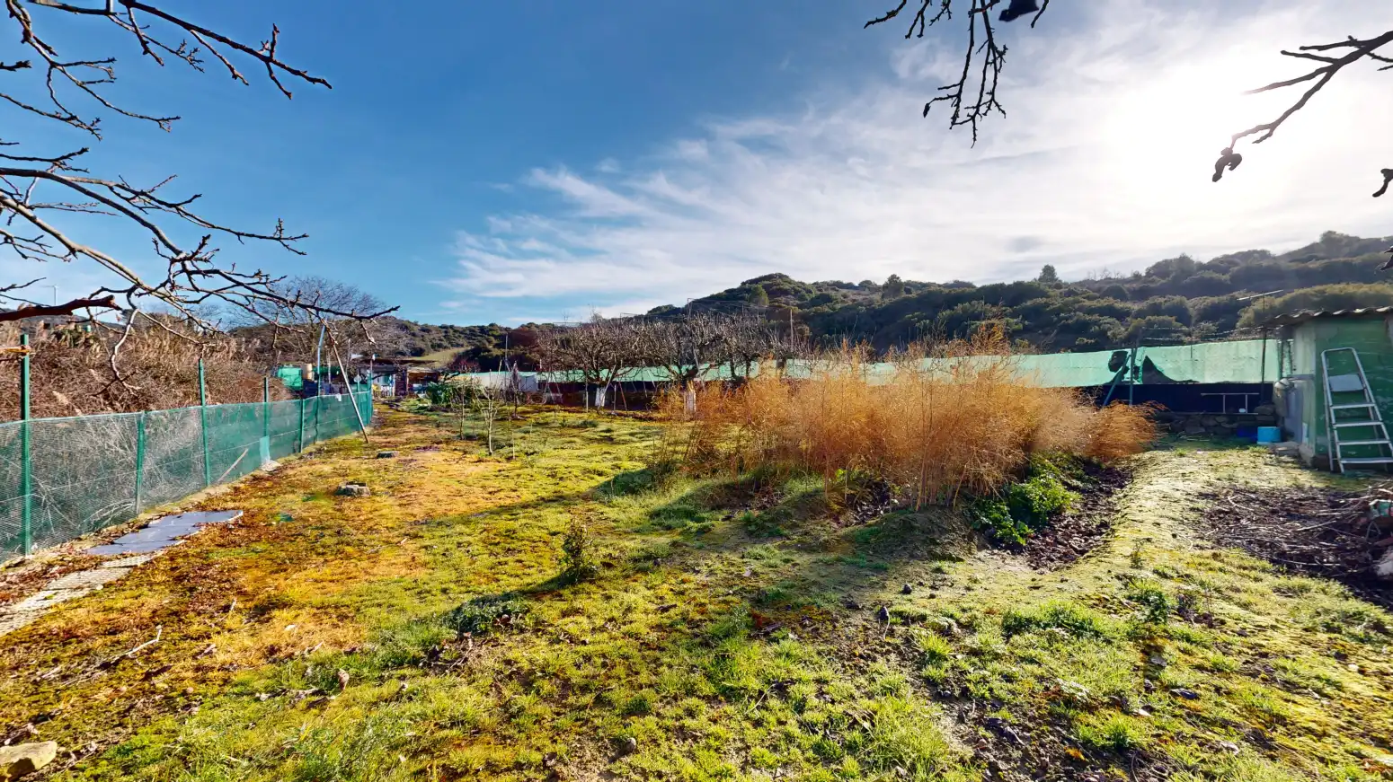 Rural land for sale in Tafalla - TERMINO JUNCAL, imagen 40