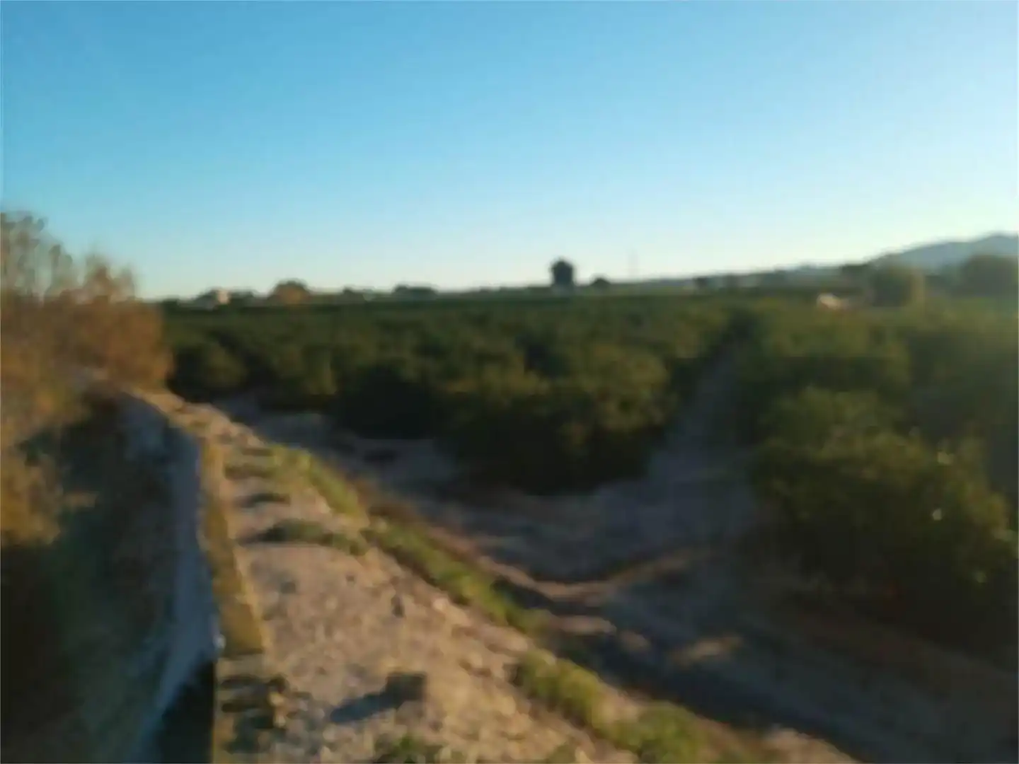 Terreno en venta en Orihuela