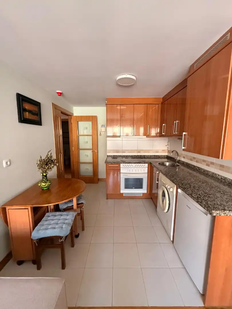 Kitchen of Apartments for rent in Vallobín - La Florida