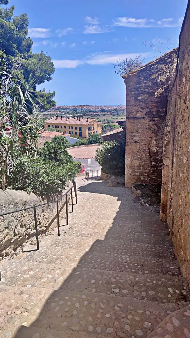 Maison à vendre à Barceloneta, imagen 15