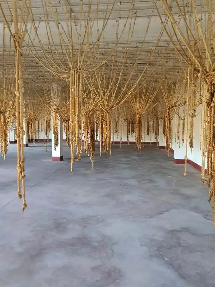 Nave industrielle à vendre à Calle cuesta de las fuentes, imagen 15