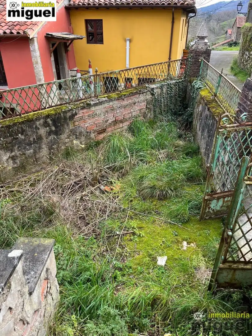 Finca rústica en venta en Peñamellera Baja con Jardín privado y Terraza
