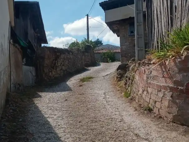 Vista exterior de Casa o xalet en venda en Tineo amb Terrassa