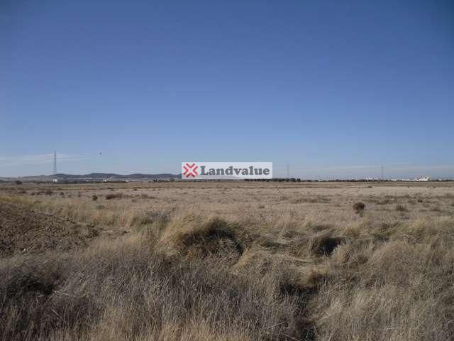 Land for sale in Ciempozuelos