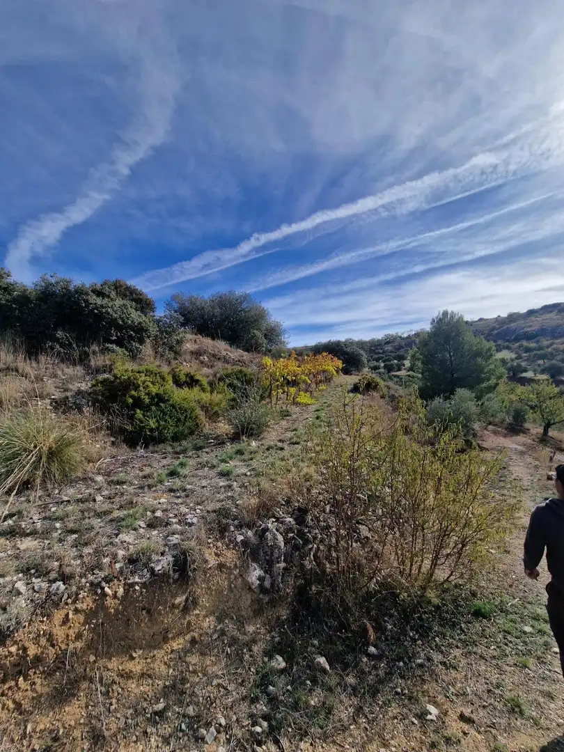 Maison rustique avec jardin à vendre à Cogollos de la Vega, imagen 54