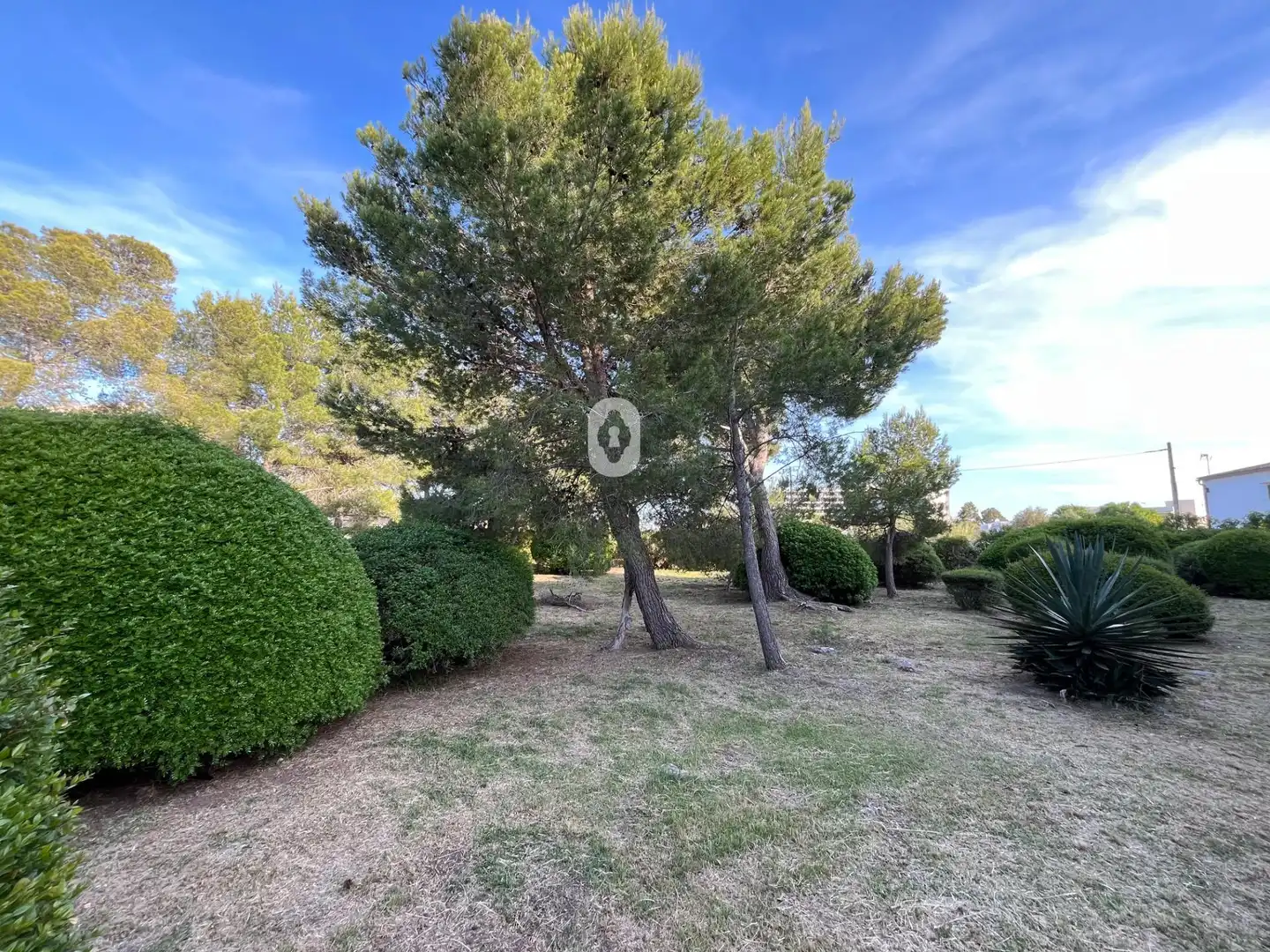 Estudio de alquiler en Pollença con Jardín privado, Terraza y Amueblado