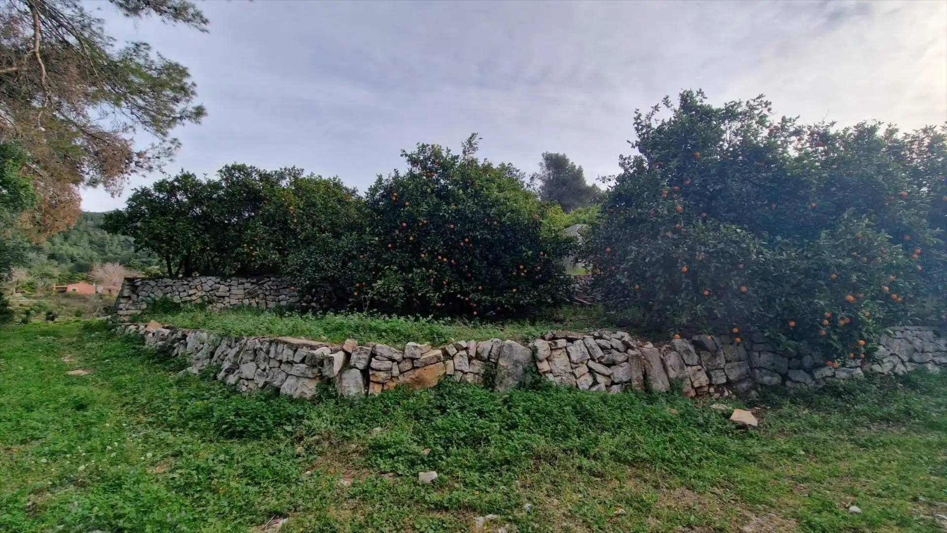 Terreny rústic en venda a Urbanitzacions i Pedanies Sud, imagen 2