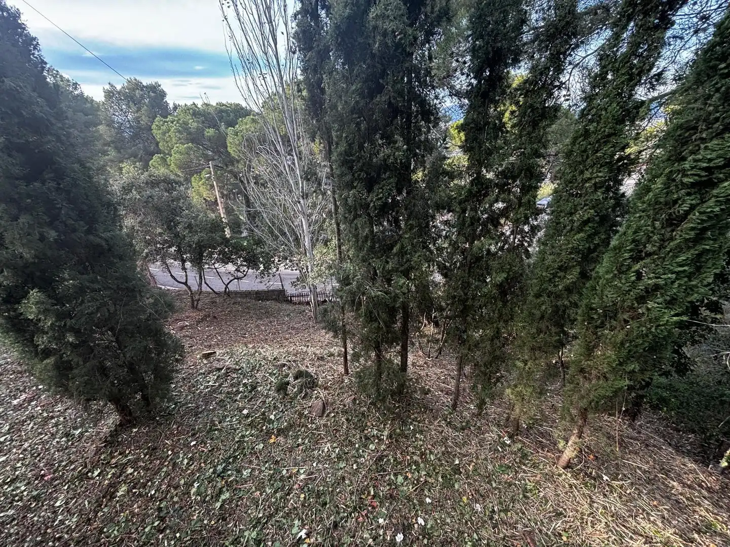 Haus mit Pool zum Verkauf in Castellví de Rosanes, imagen 74