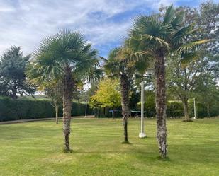 Jardí de Casa o xalet en venda en Palencia Capital amb Terrassa