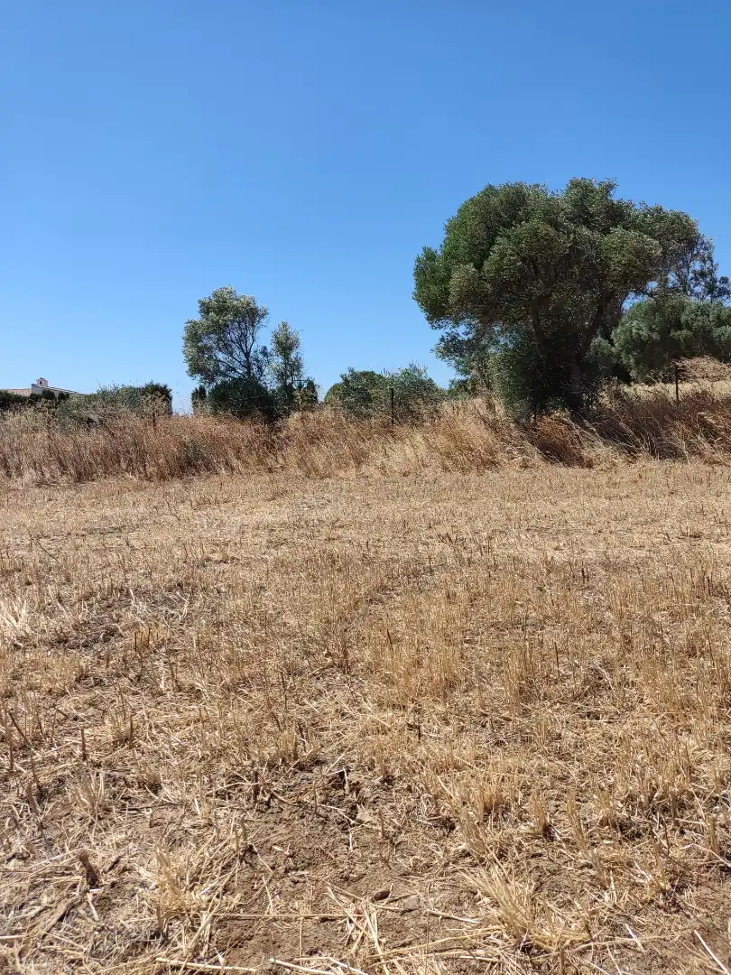 Country homes for rent in Medina Sidonia