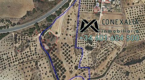 Finca en venta en Olvera.