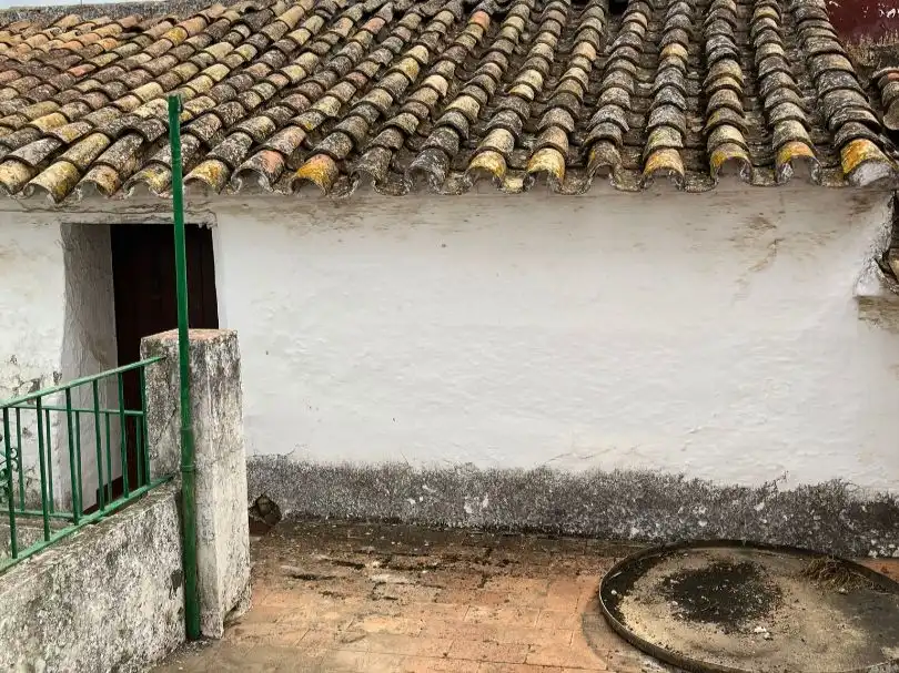 House for sale in Cruz de san francisco 4, imagen 5