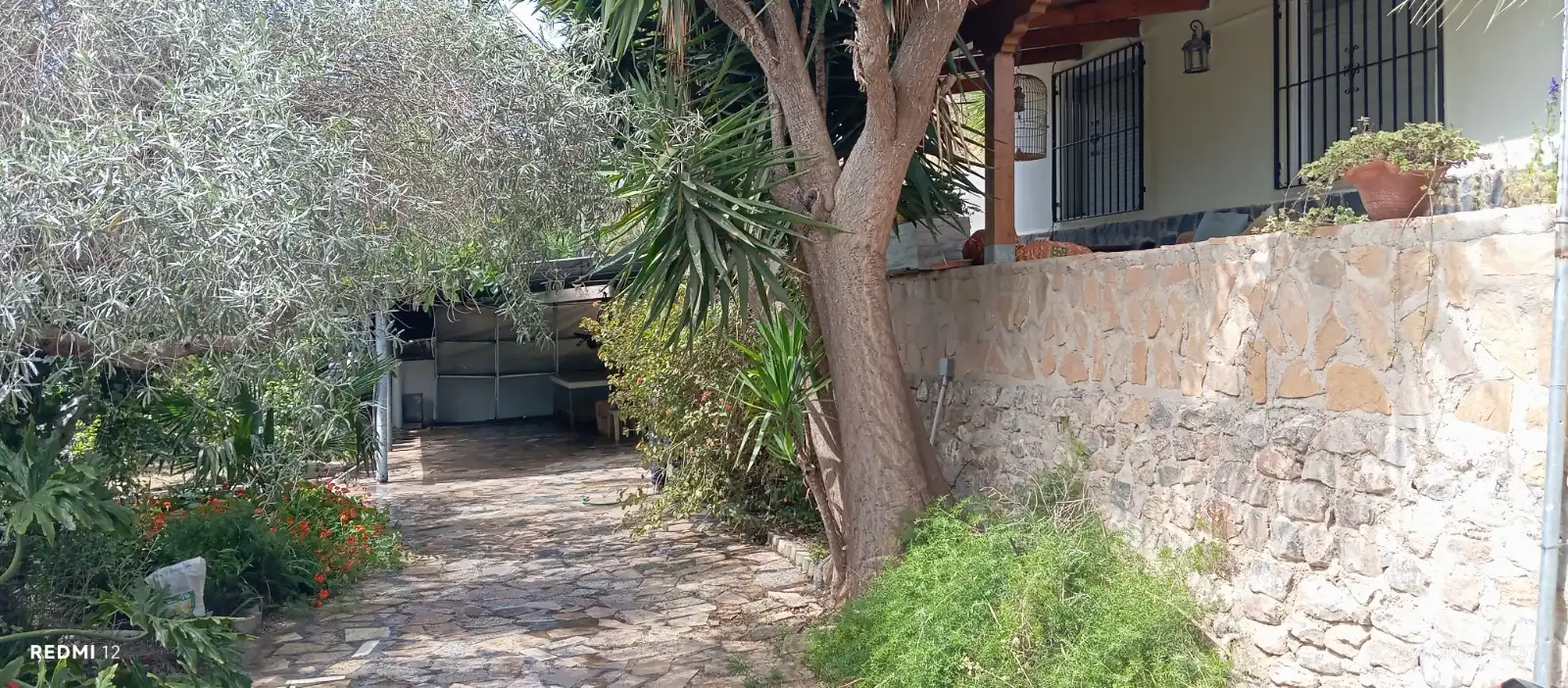 Vista exterior de Casa o chalet en venta en Murcia con Jardín privado, Terraza y Amueblado