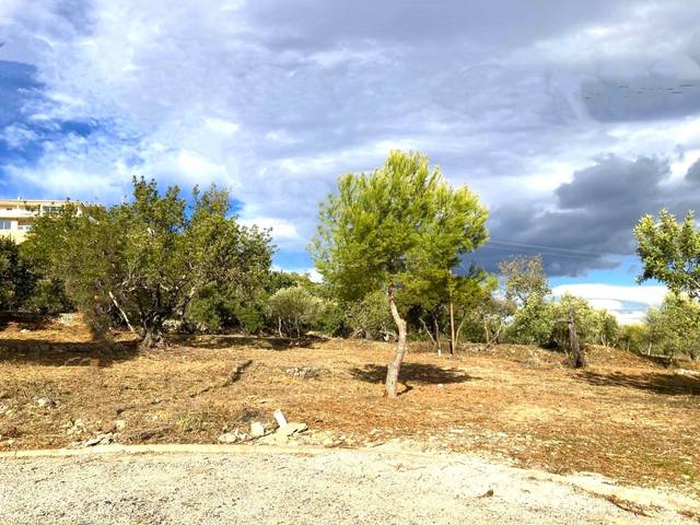 Terreno residencial en Venta en Carrer de les Oliveres, 7 en Closa de Vinaròs - Ermita