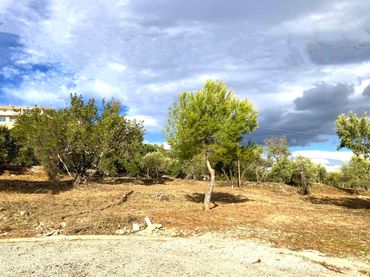 Terreno residencial en venta en Carrer de les Oliveres 7