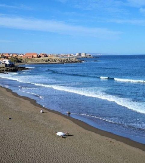 Foto 2 de Casa o chalet en venta en Playa del Hombre - Taliarte - Salinetas, Telde