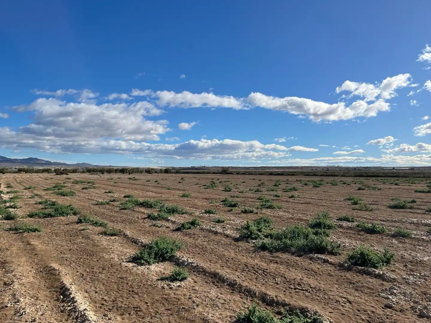 Terreni e lotti in vendita a Condado de Alhama, imagen 2