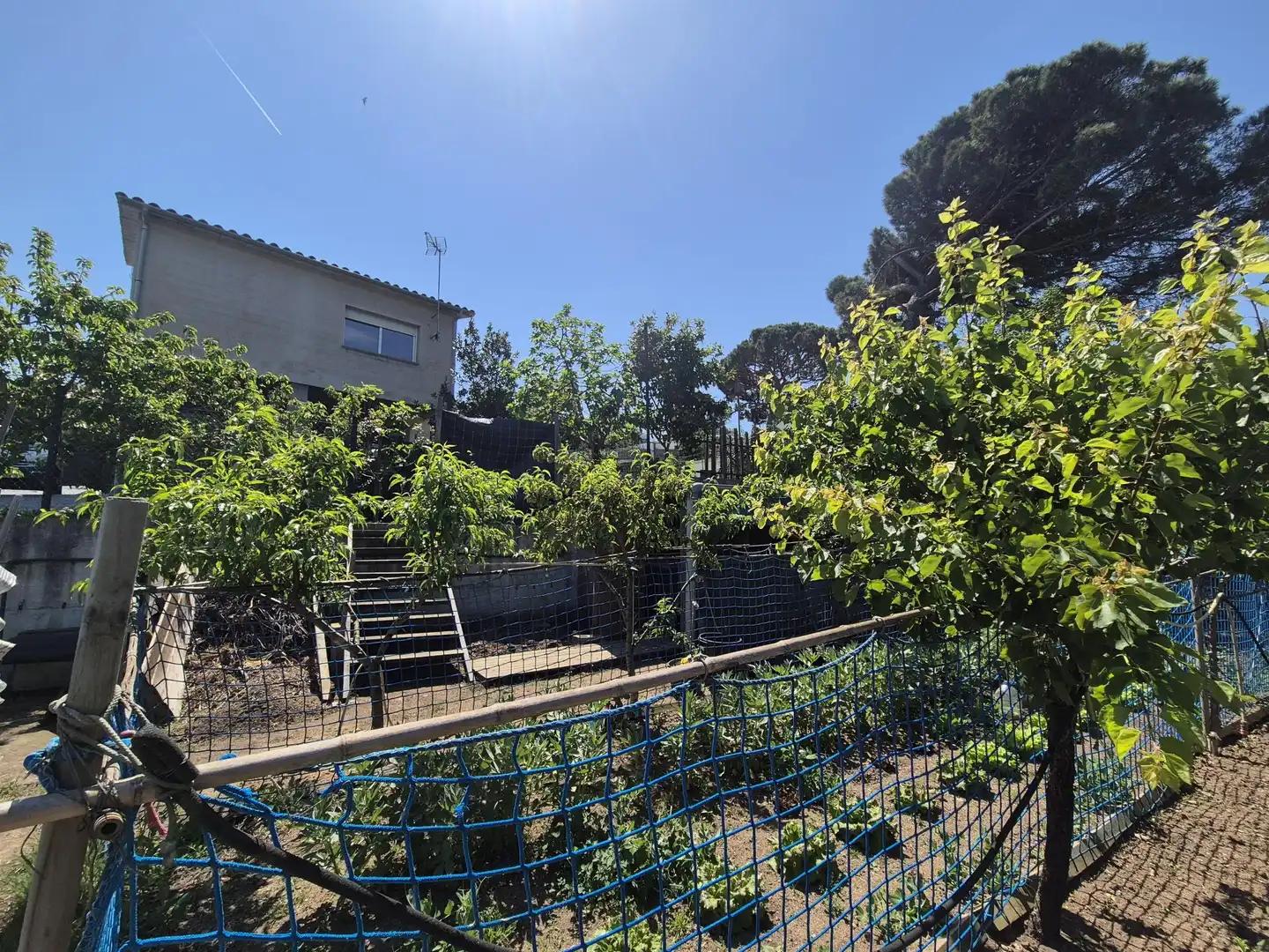 Garden of Houses for sale in Tordera  with Heating, Private garden and Terrace