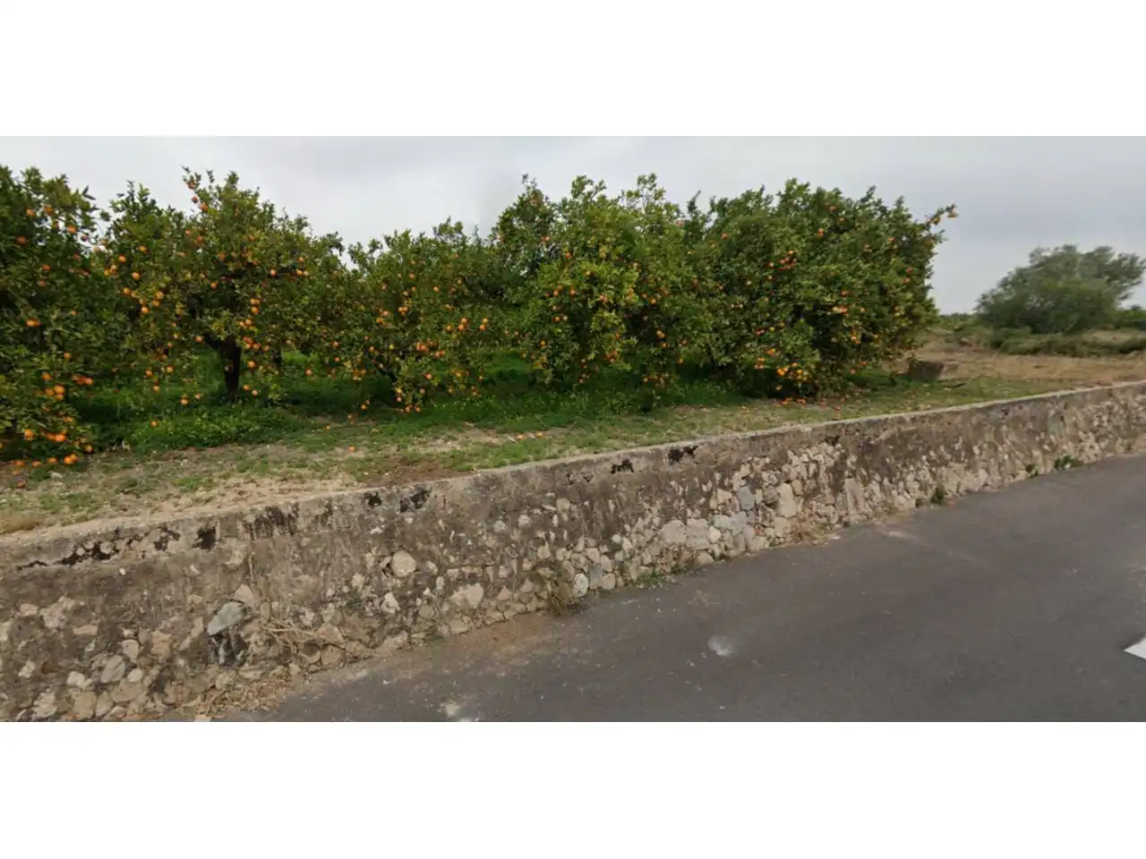 Terrain rustique à vendre à Camino Viejo de Xátiva 1, imagen 2