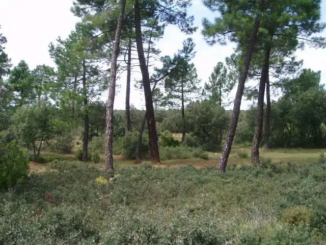 Terreni e lotti in vendita a Motilla del Palancar, imagen 10