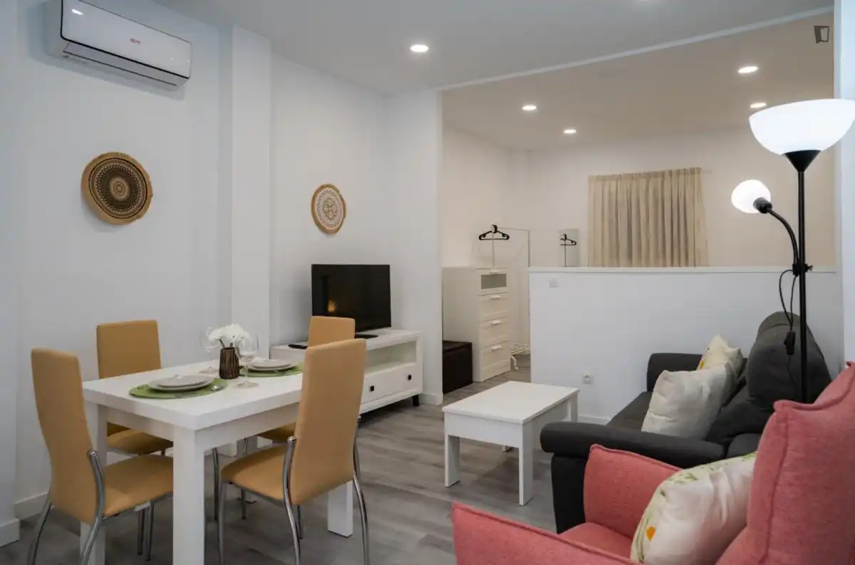 Sala d'estar de Estudi de lloguer en Málaga amb Aire condicionat, Calefacció i Moblat