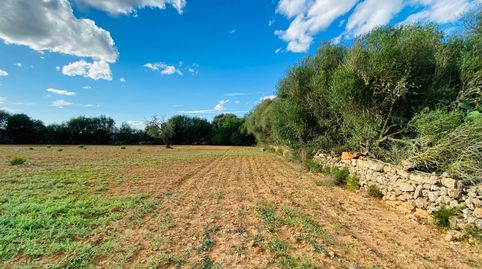 Photo 5 of Residential for sale in Felanitx Poble, Felanitx