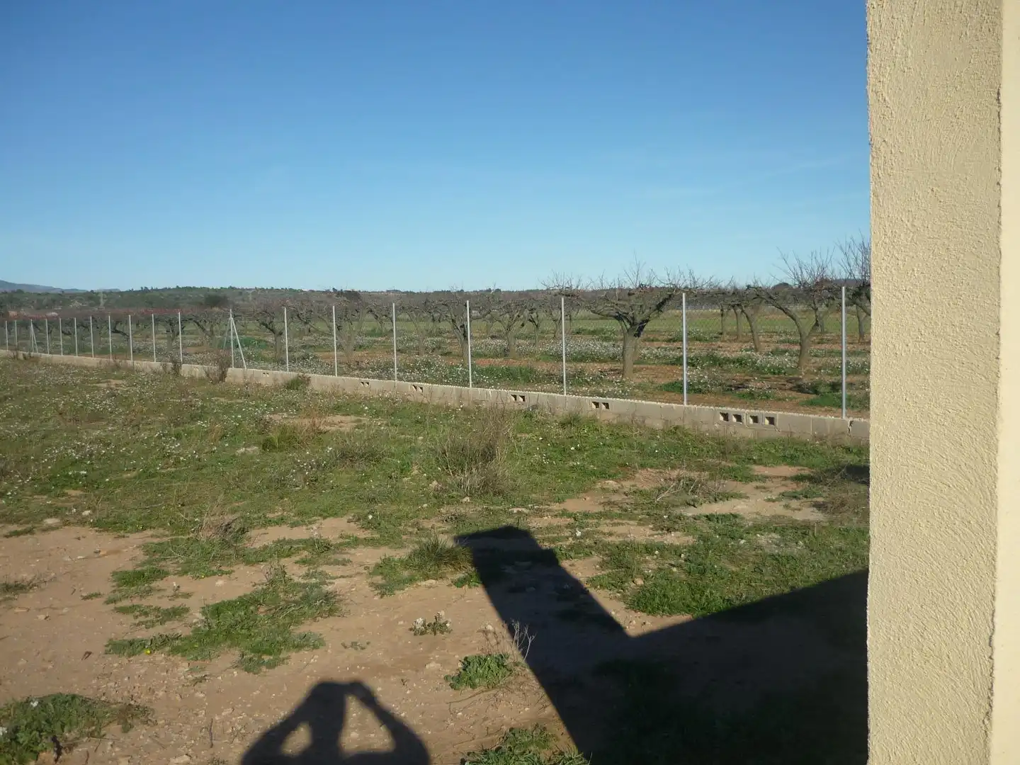 Terreny rústic en venda a Vilafamés, imagen 5