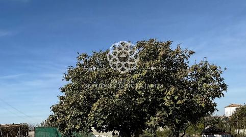 Photo 3 of Country house for sale in Carretera de Sanlúcar - Sudamérica, El Puerto de Santa María