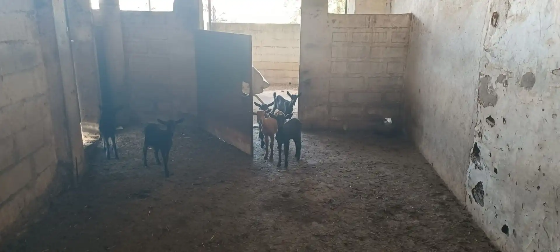 Terreny rústic en venda a Santa Olalla del Cala, imagen 20
