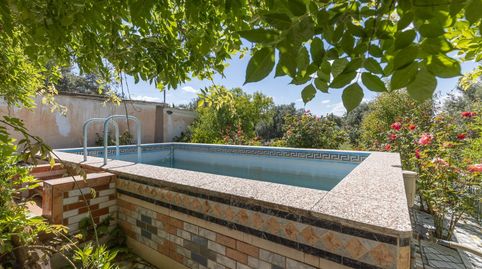 Foto 2 de Finca rústica en venta en Polígono 7 Paraje 147 la Quinta, Ayuntamiento, Alhendín