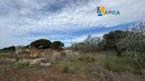 Terreny en venda en Conil de la Frontera