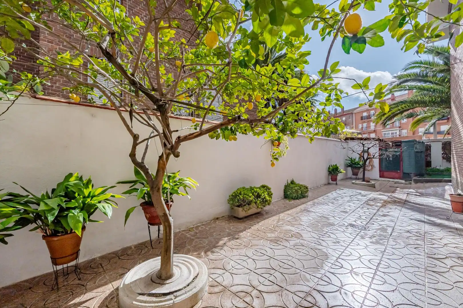 Jardí de Casa o xalet en venda en Madrid amb Calefacció, Jardí privat i Terrassa