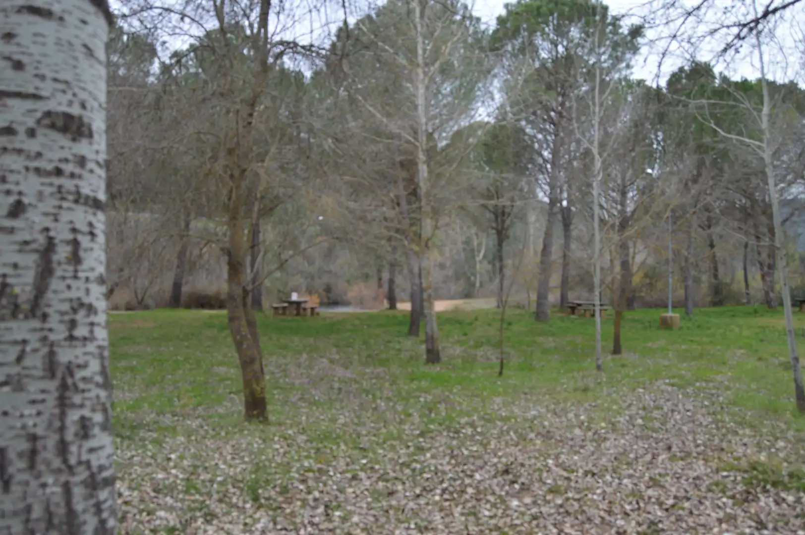 Jardí de Finca rústica en venda en Piedrabuena amb Aire condicionat, Calefacció i Terrassa