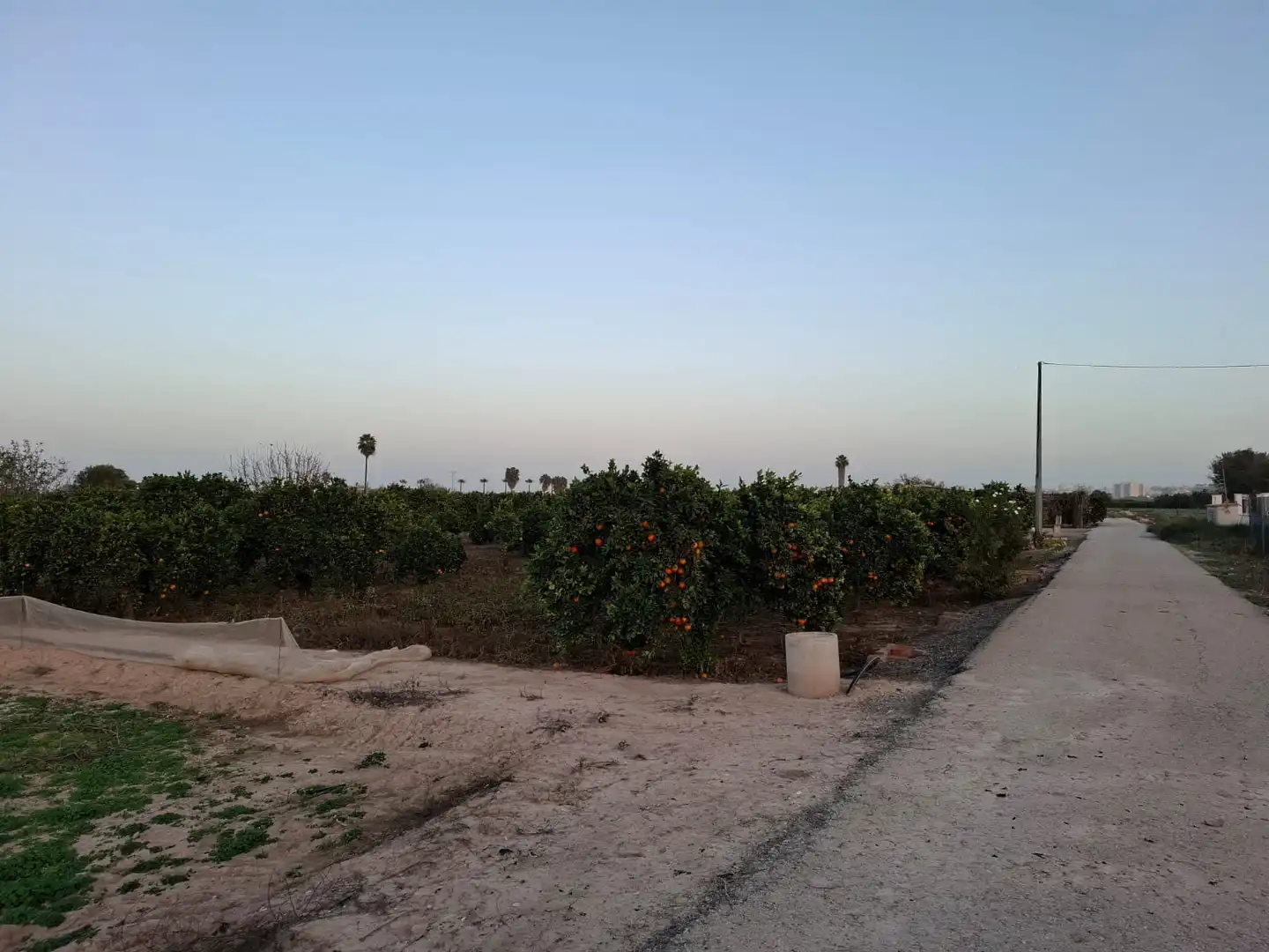 Terreno rústico en venta en Puerto Deportivo, imagen 12