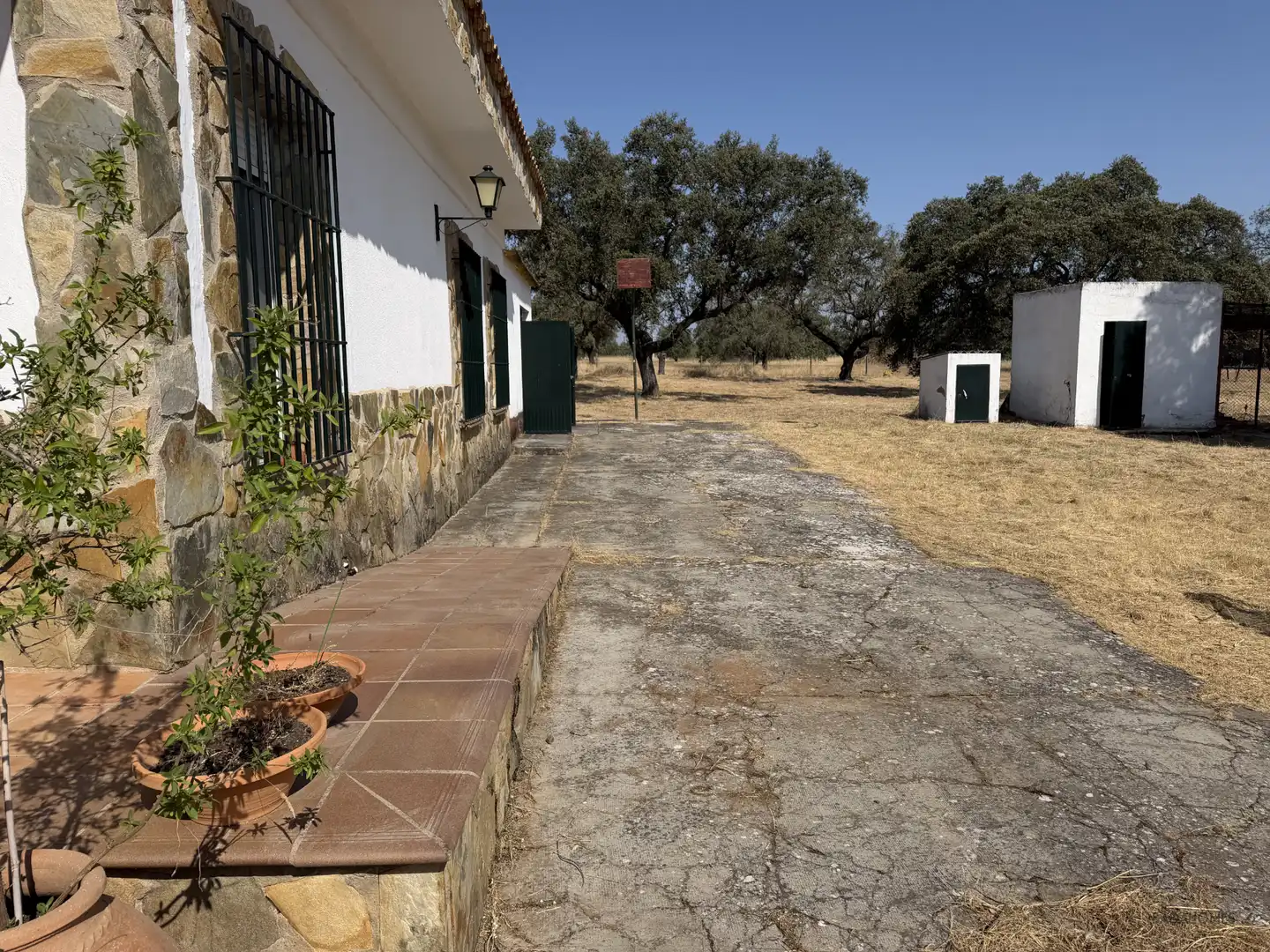 Jardín de Finca rústica en venta en Badajoz con Jardín privado, Terraza y Trastero