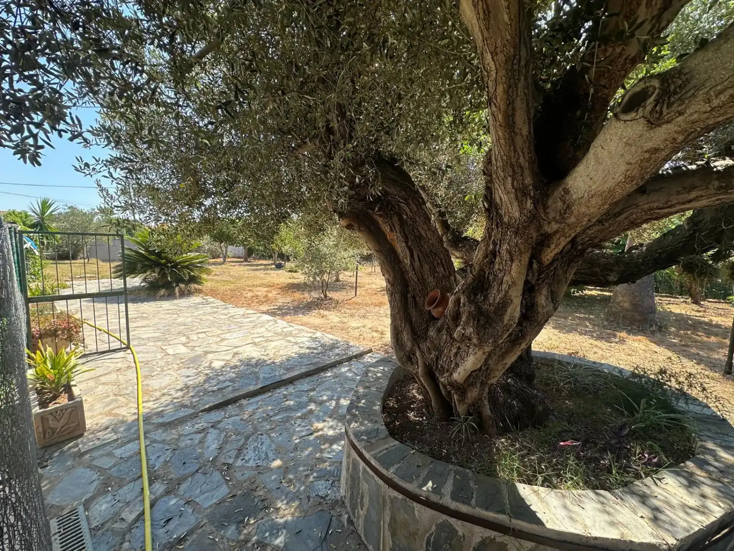 Jardí de Casa adosada en venda en Castellón de la Plana / Castelló de la Plana amb Aire condicionat, Calefacció i Terrassa