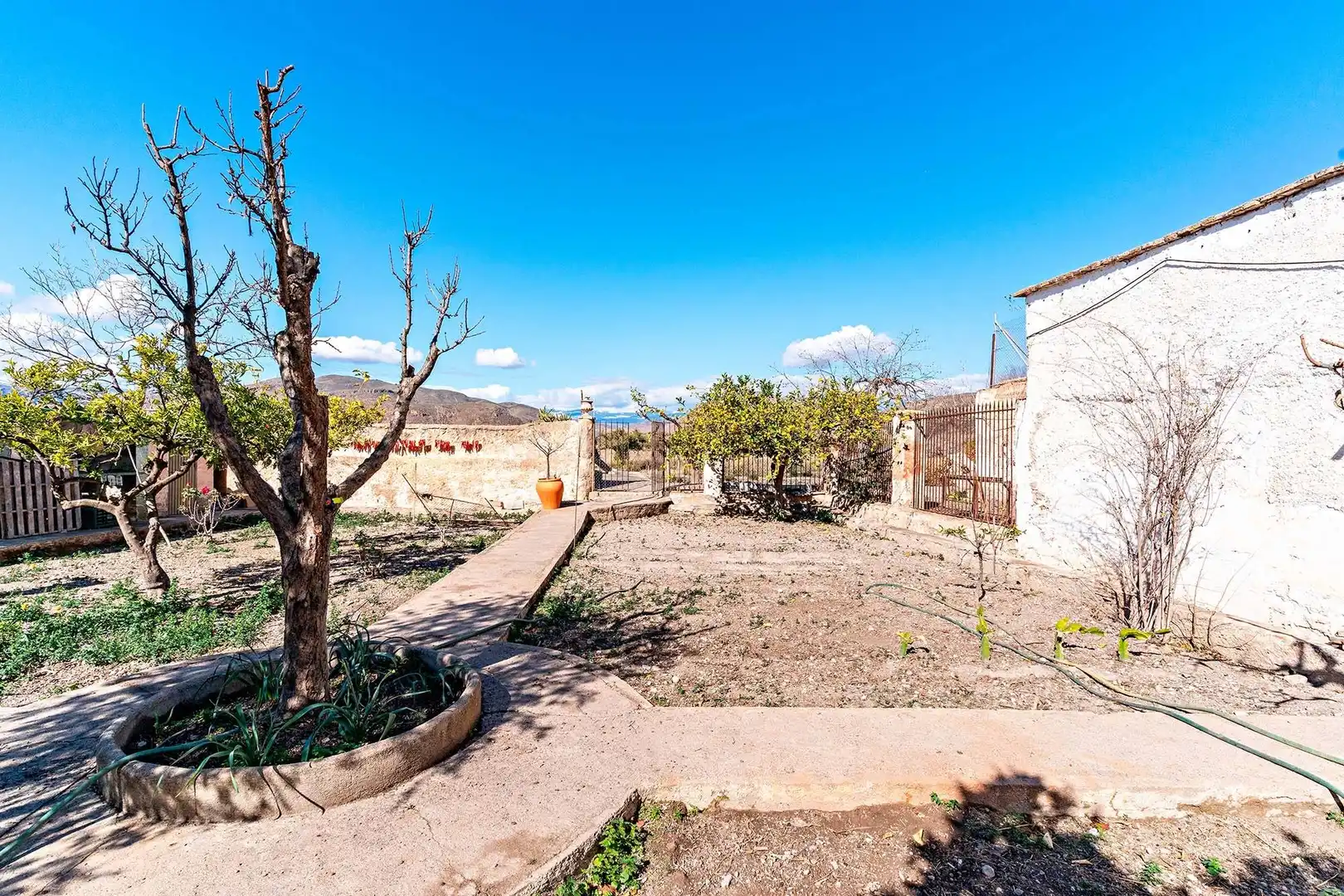 Casa o xalet en venda en Berja amb Terrassa i Balcó