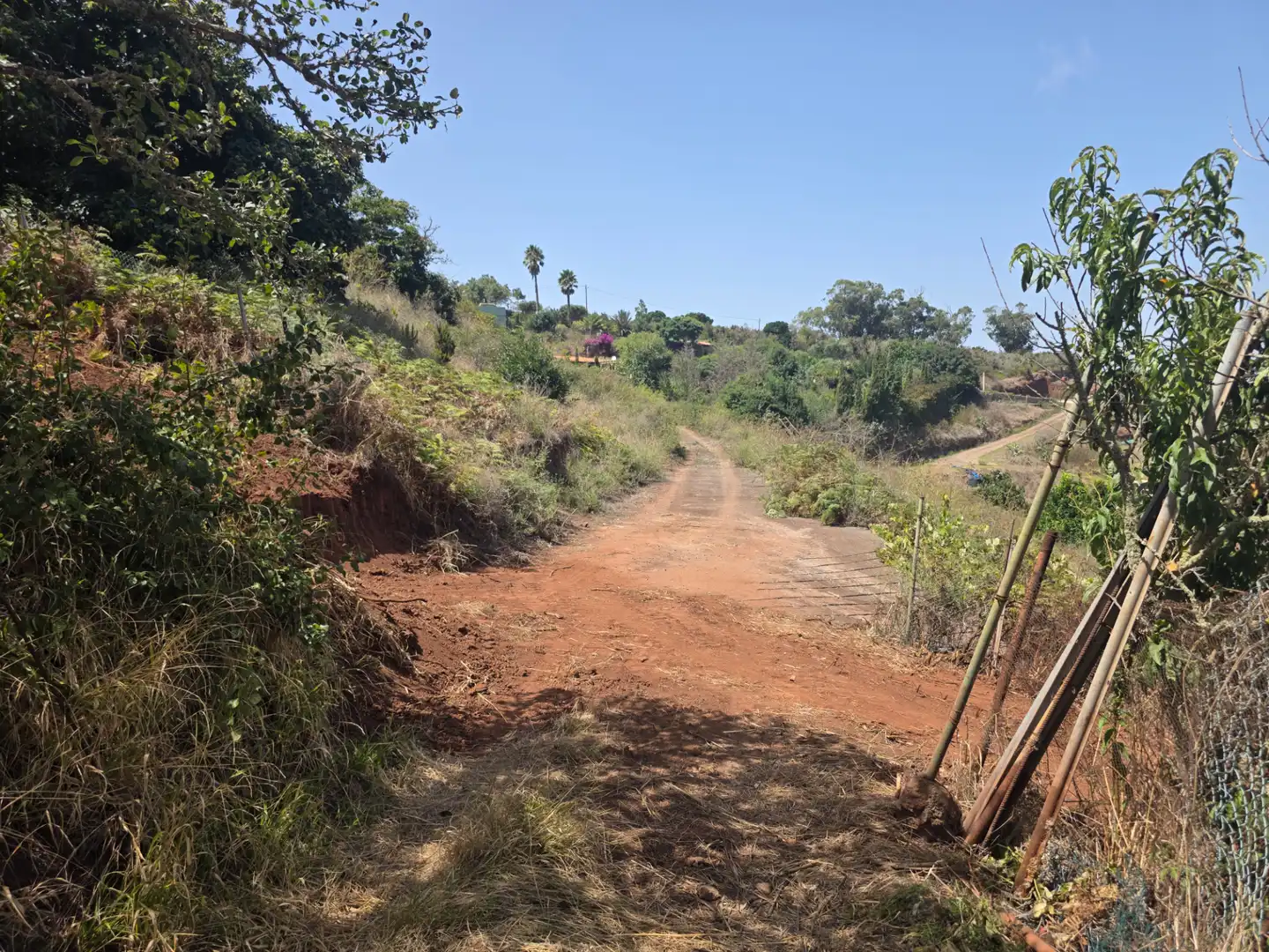 Rural land for sale in Camino las Peñuelas 11, imagen 34
