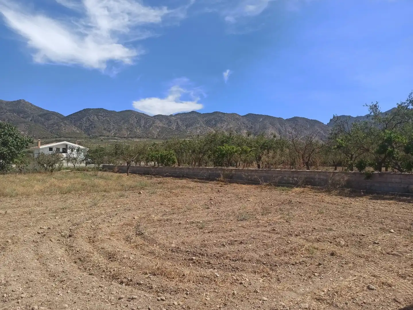Rural land for sale in Dúrcal