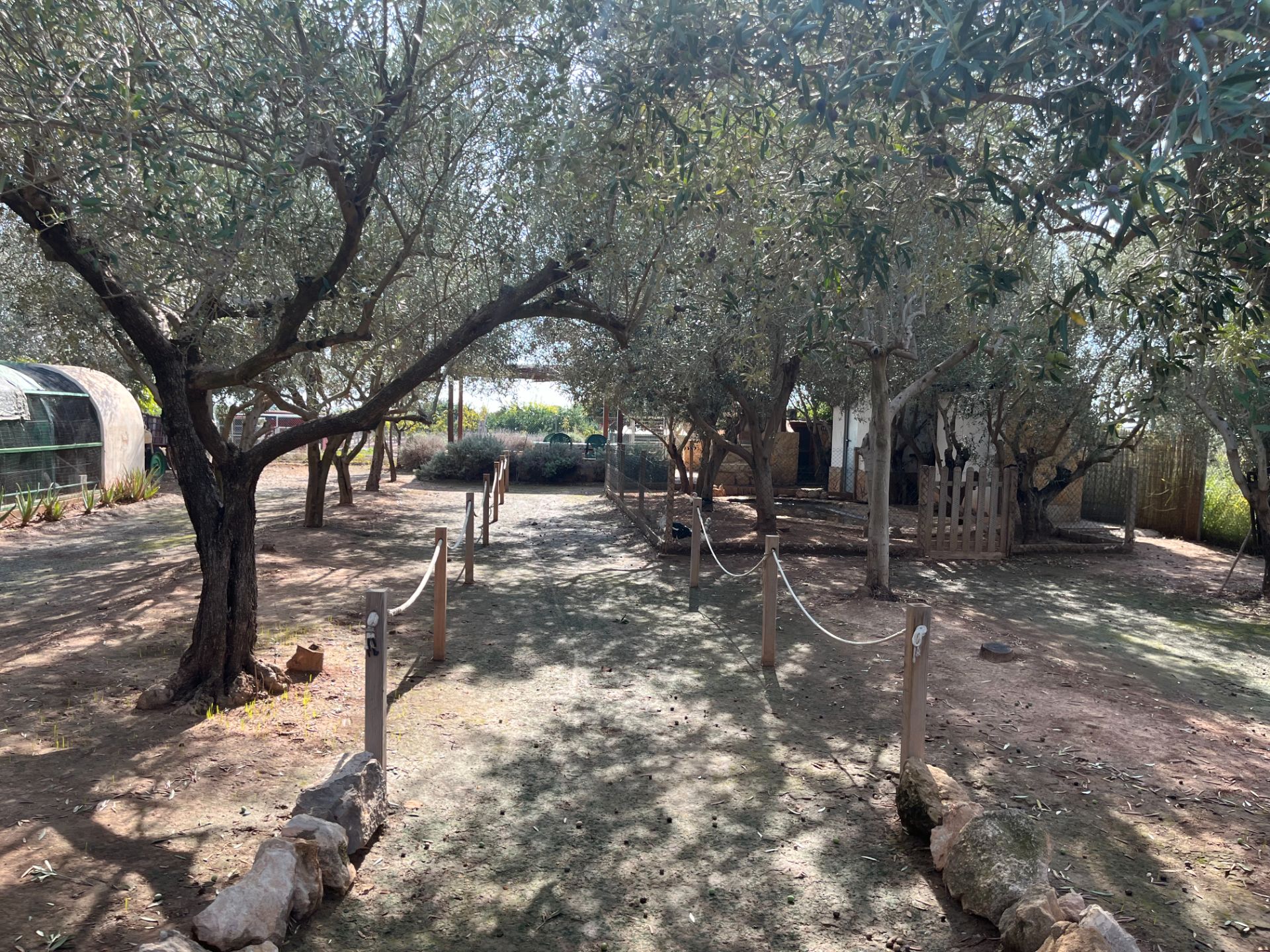 Garden of Land for sale in  Valencia Capital