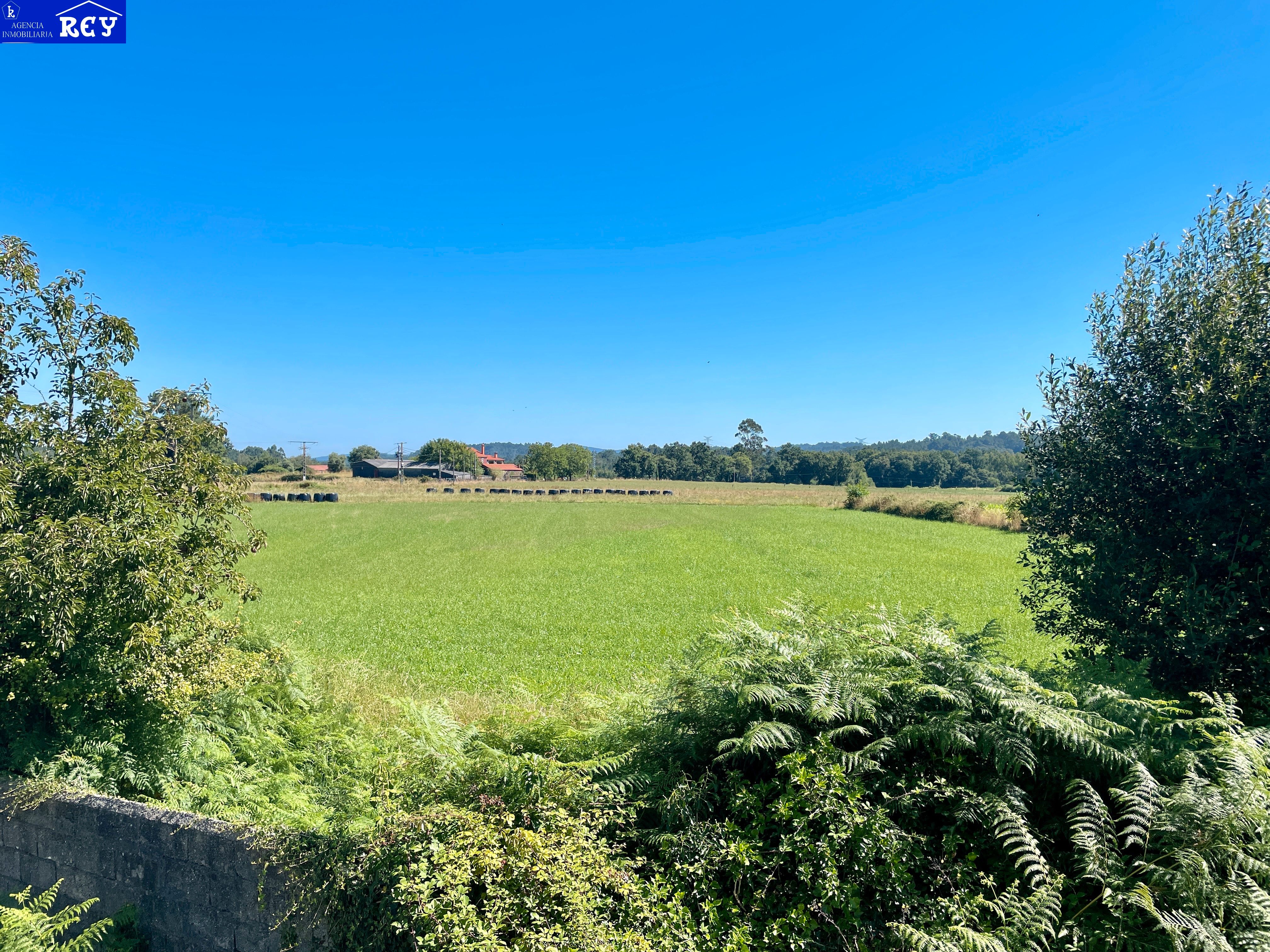 Finca rústica en venta