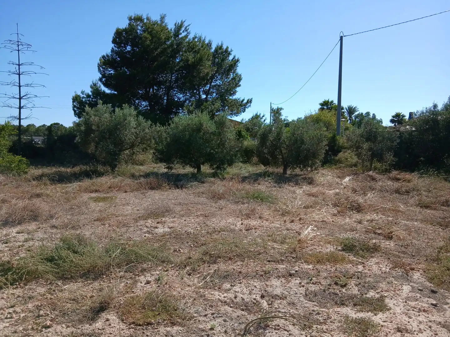 Casa o xalet en venda en Elche / Elx amb Terrassa